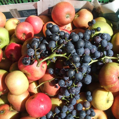 Obst Obst