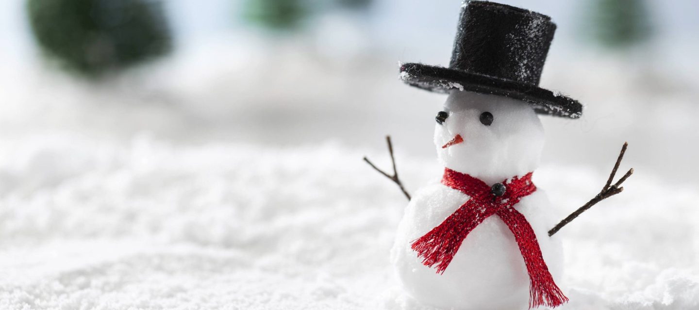 Schneemann Schneemann